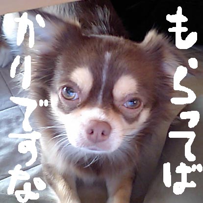 c0036617_1921188.jpg