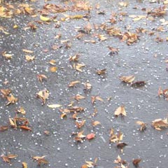 c0036617_19214759.jpg