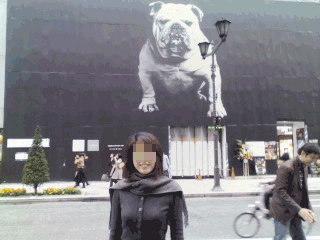 e0080117_2093165.gif