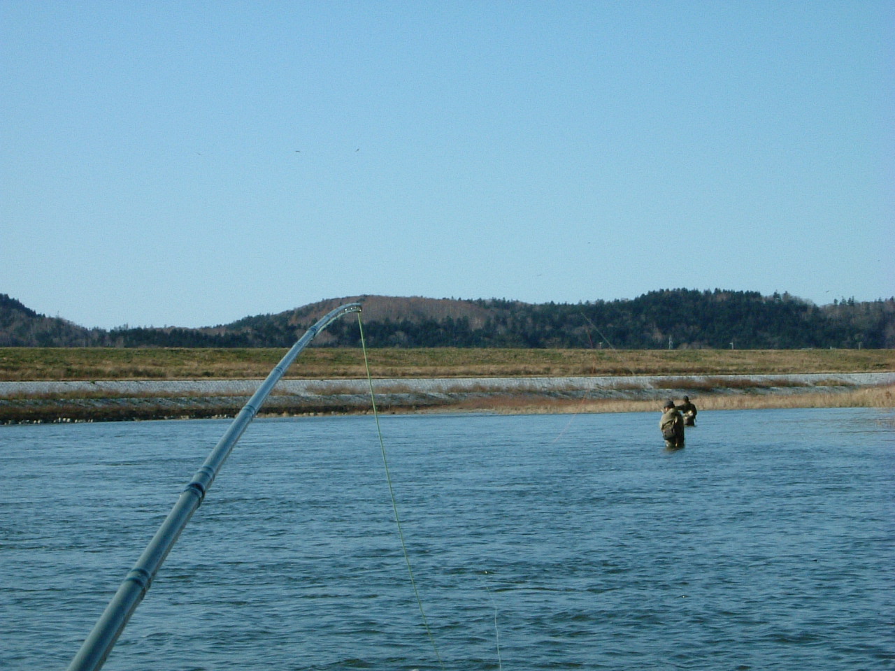 f0153018_1401566.jpg