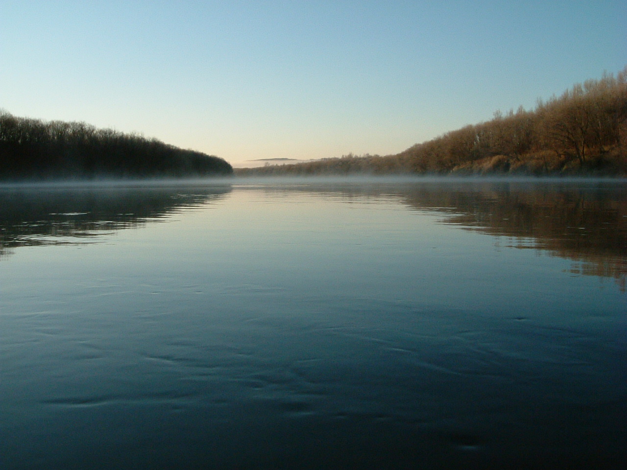 f0153018_140528.jpg