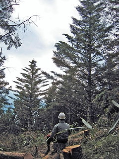 e0002820_21505623.jpg