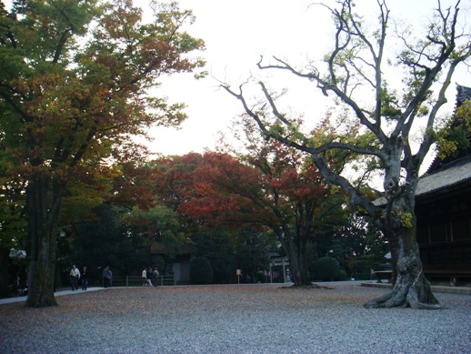b0068423_18274011.jpg