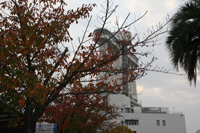 f0124830_0481392.jpg