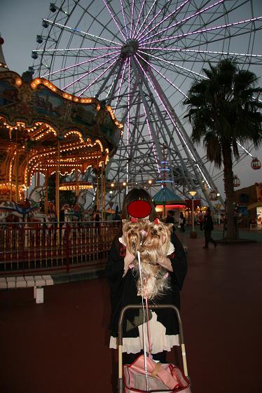 f0124830_22422818.jpg