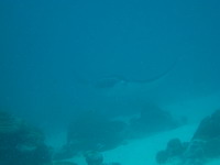 b0063132_18455879.jpg