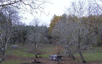 f0147037_23424964.jpg