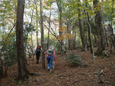 c0077338_1441228.jpg