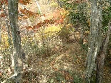 c0077338_1443687.jpg