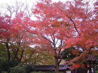 a0030639_2332195.jpg