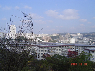 a0030639_2363565.jpg