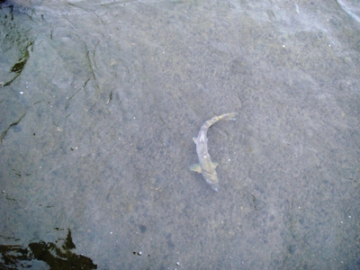 e0119840_18325453.jpg