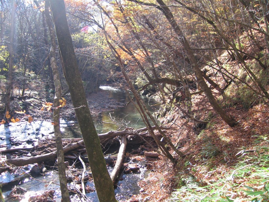 f0151044_8472792.jpg