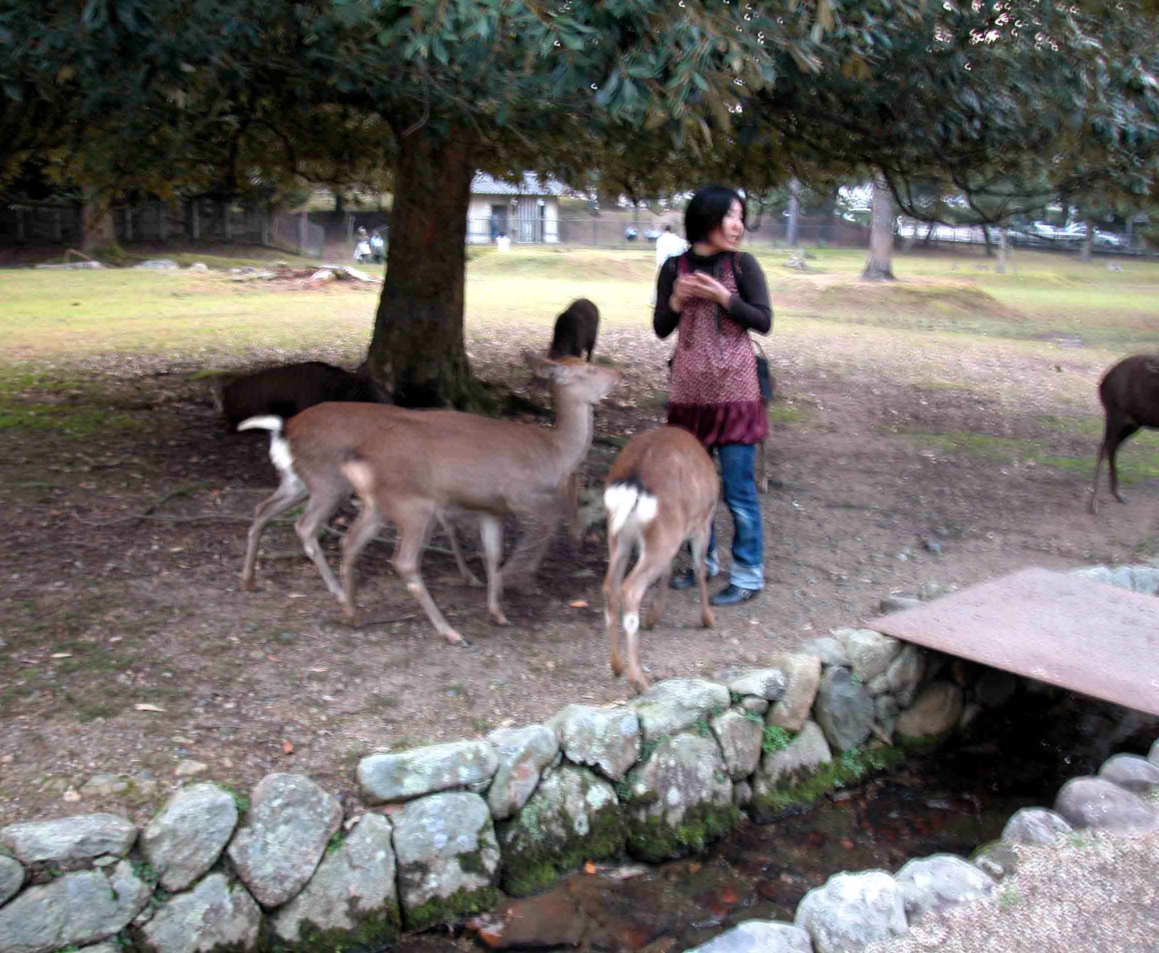 a0063846_0132734.jpg