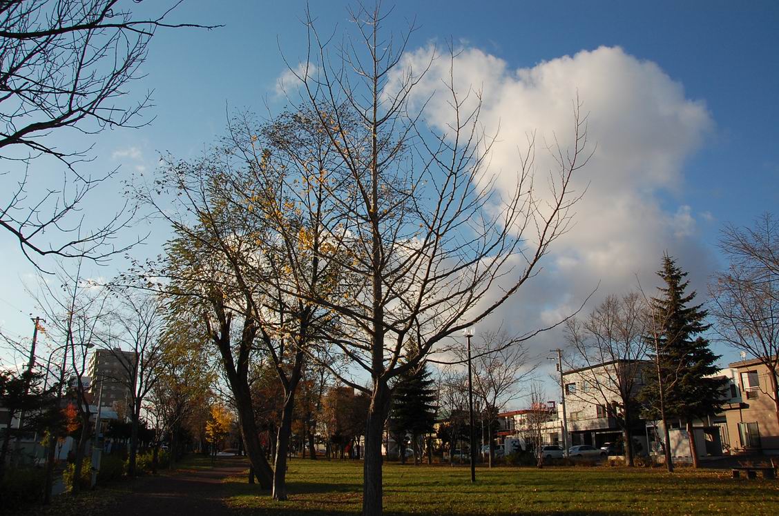 c0129346_21284037.jpg