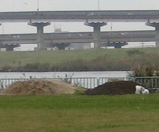 d0118050_17244343.jpg