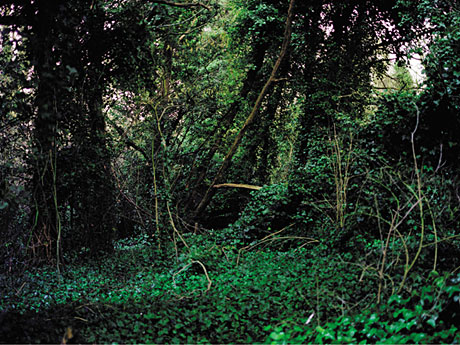 d0079151_5165878.jpg