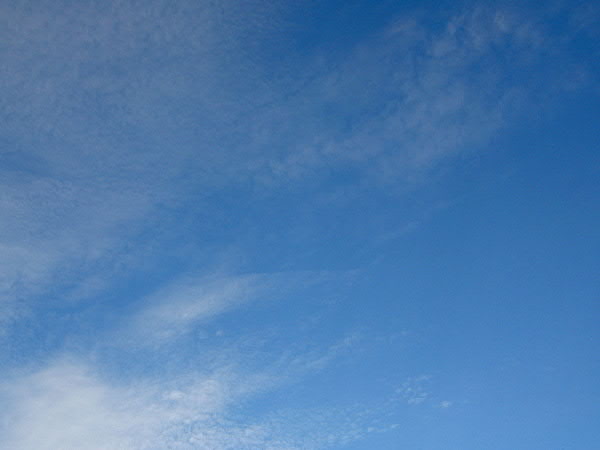 e0017051_1001570.jpg
