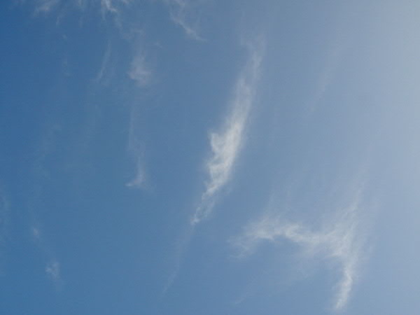 e0017051_23422635.jpg