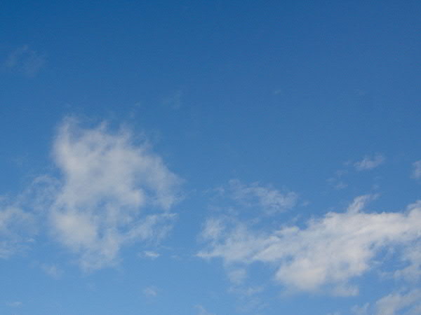 e0017051_2343228.jpg