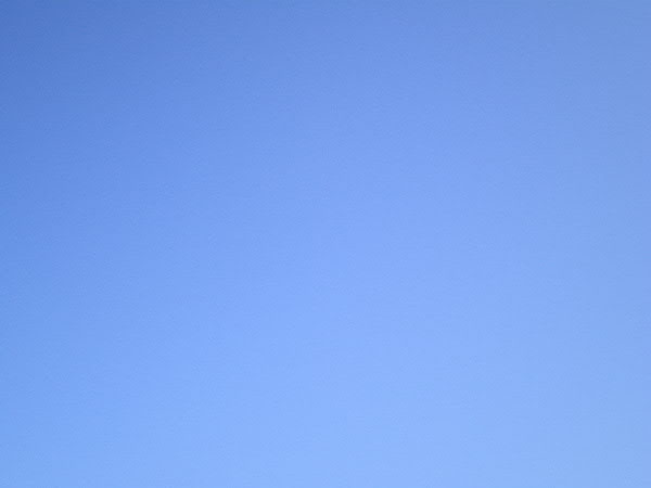 e0017051_23433865.jpg
