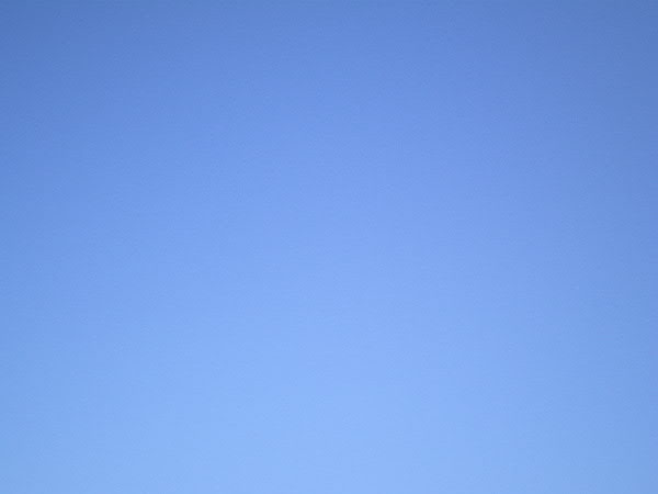 e0017051_2346511.jpg
