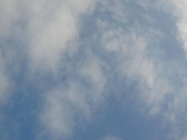 e0017051_9521482.jpg