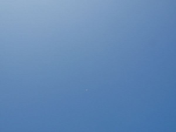 e0017051_9525870.jpg