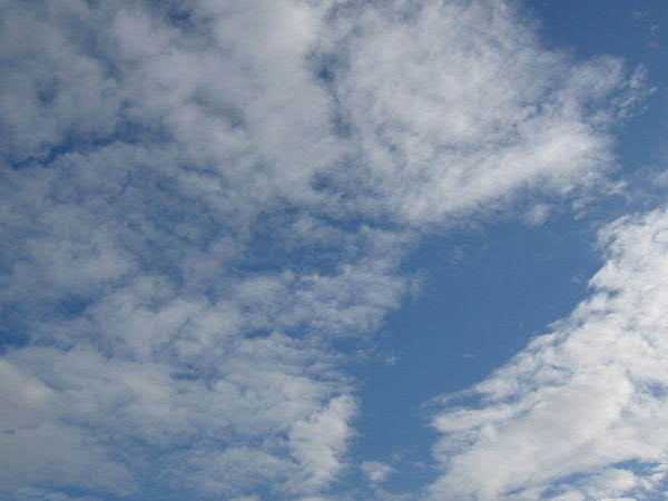 e0017051_9533035.jpg