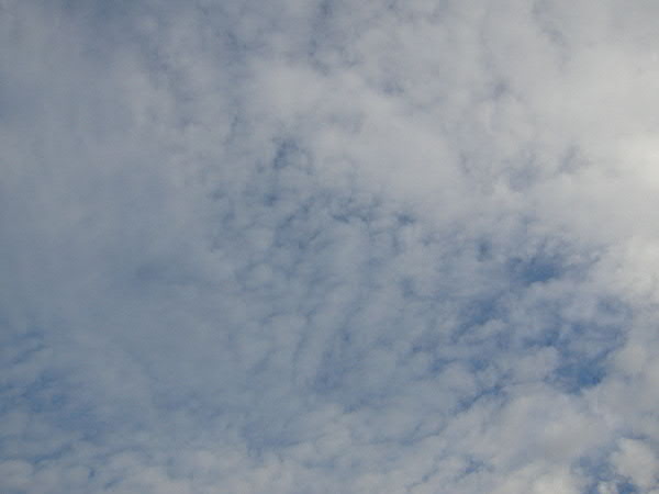 e0017051_954057.jpg