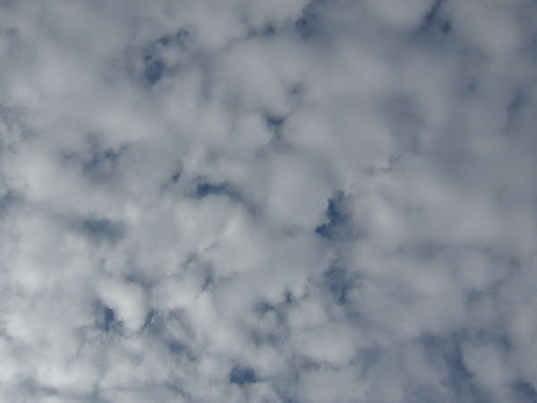 e0017051_9553995.jpg