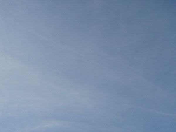 e0017051_9575872.jpg