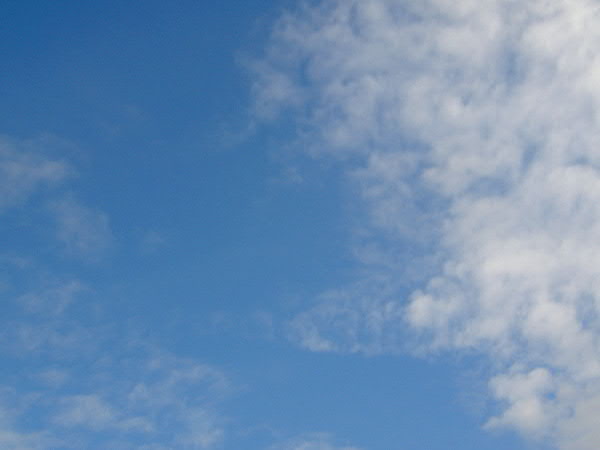 e0017051_9583679.jpg