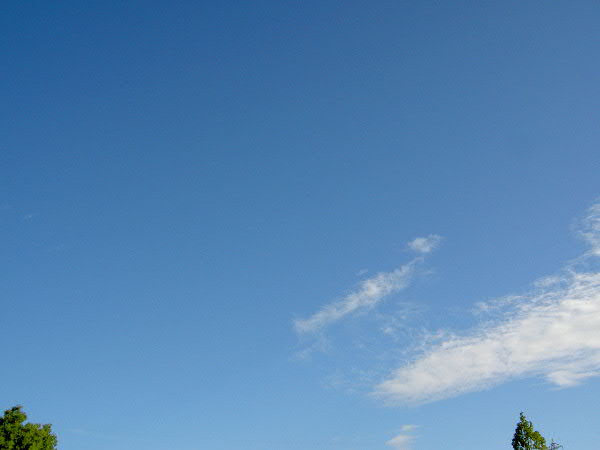 e0017051_959759.jpg