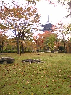 c0069552_2041389.jpg