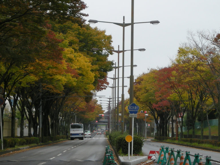 a0088456_15284662.jpg