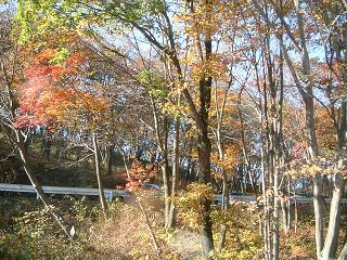 b0018957_22544370.jpg