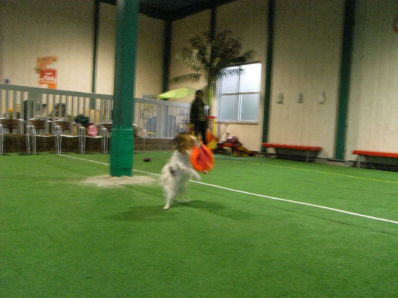 a0105961_21542089.jpg
