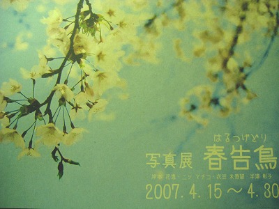c0134861_0291100.jpg