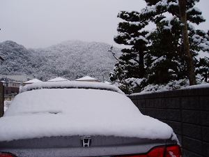 c0123363_19114716.jpg