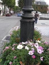f0146466_8225952.jpg