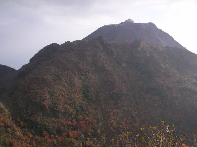 c0042869_19331142.jpg