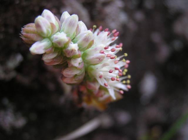 c0042869_19335452.jpg
