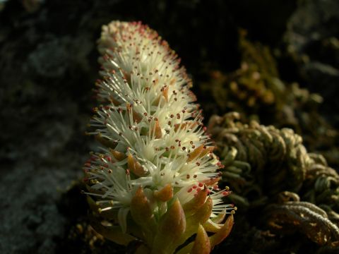c0042869_1934970.jpg