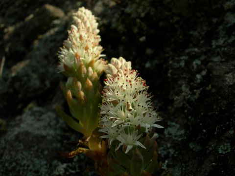 c0042869_19443029.jpg