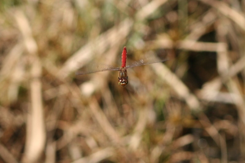 b0088772_2273630.jpg