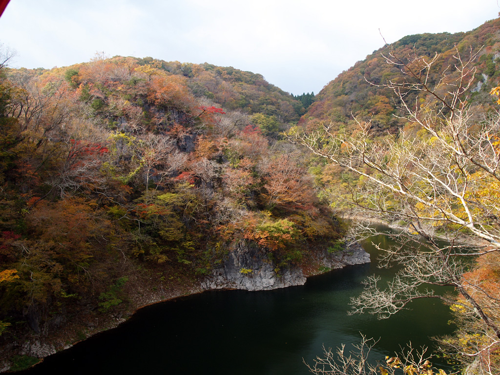 c0050380_1739320.jpg