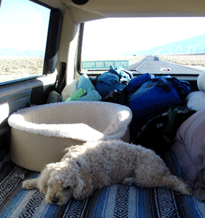 f0032481_21544276.gif
