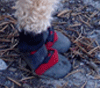 f0032481_21554389.gif