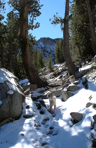 f0032481_2159184.gif